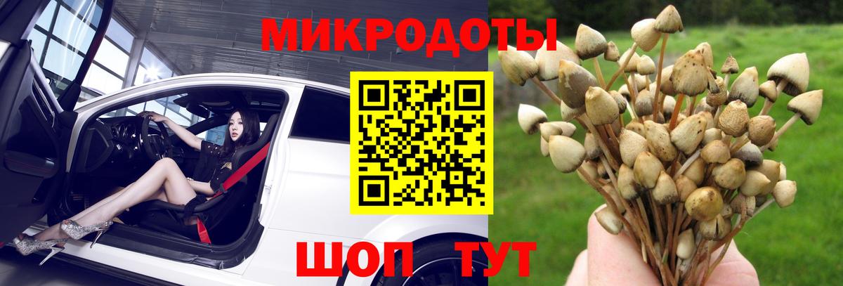 Галлюциногенные грибы Magic Shrooms Менделеевск